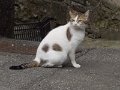 DSCN1146