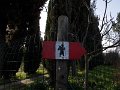 DSCN0372