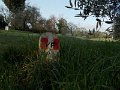 DSCN0373