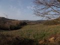 DSCN0385
