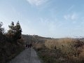 DSCN0386