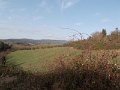 DSCN0387