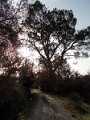 DSCN0389