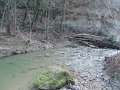 DSCN0410