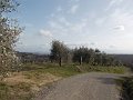DSCN0413