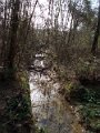 DSCN0447