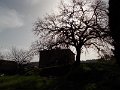 DSCN0452