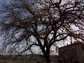 DSCN0453