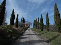 DSCN0456