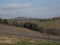 DSCN0461
