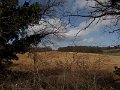 DSCN0466