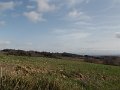 DSCN0469