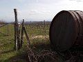 DSCN0487