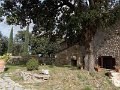 DSCN0490