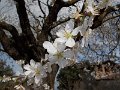 DSCN0495
