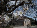 DSCN0499