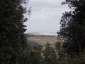 DSCN0501