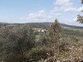 DSCN0522