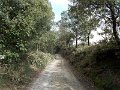 DSCN0529
