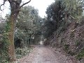 DSCN0533