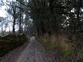 DSCN0539