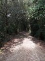 DSCN0545