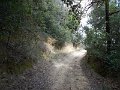 DSCN0547