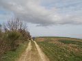 DSCN0557