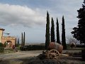 DSCN0564
