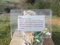 DSCN0570