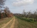 DSCN0572