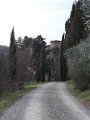DSCN0579