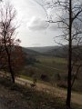 DSCN0581