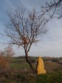 DSCN0588