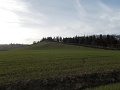 DSCN0594