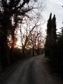 DSCN0598