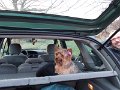 DSCN0610