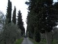 DSCN0326