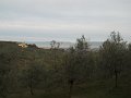DSCN0334