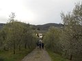 DSCN0335
