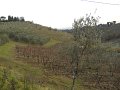 DSCN0337