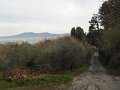 DSCN0353
