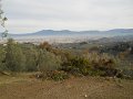 DSCN0356