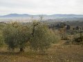 DSCN0358