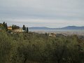 DSCN0361