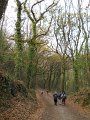 DSCN0368