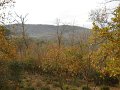 DSCN0428