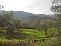 DSCN0445