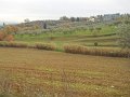 DSCN0494