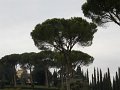 DSCN0495